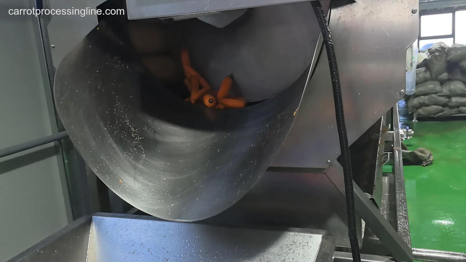 Carrots moving through a stainless-steel wet washing stage
